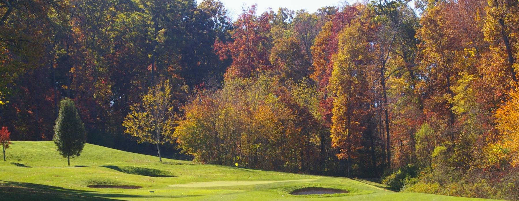 a golf course with trees around it